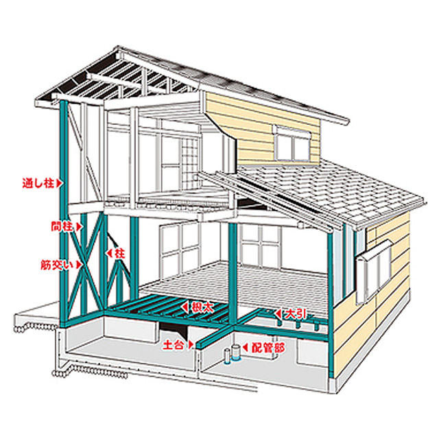 HOUSE GUARD SYSTEM