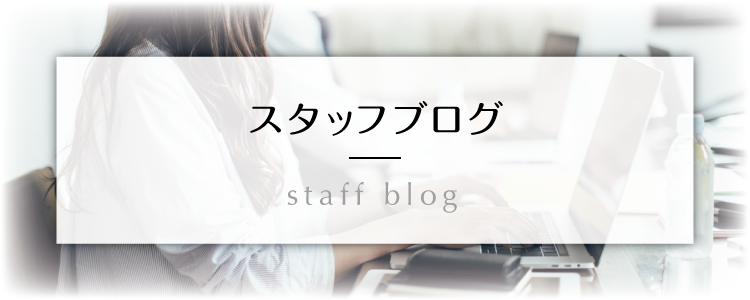 スタッフブログ