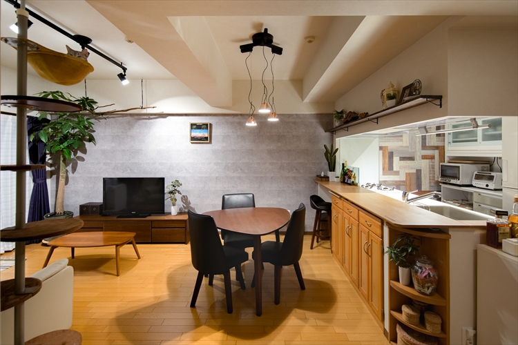 café barで猫と